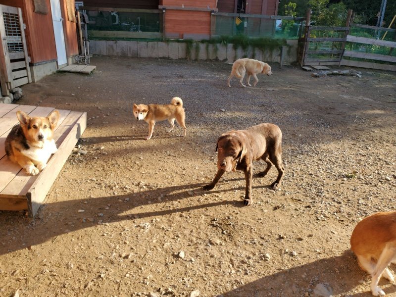 f:id:roukenhome-ann:20191017053310j:plain