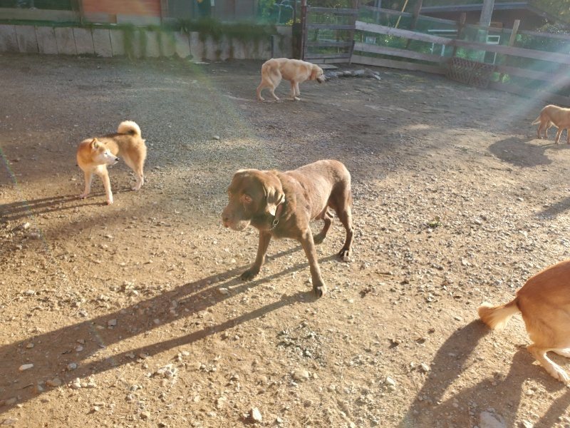 f:id:roukenhome-ann:20191017053314j:plain