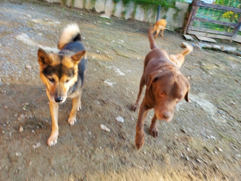 f:id:roukenhome-ann:20191017064619j:plain