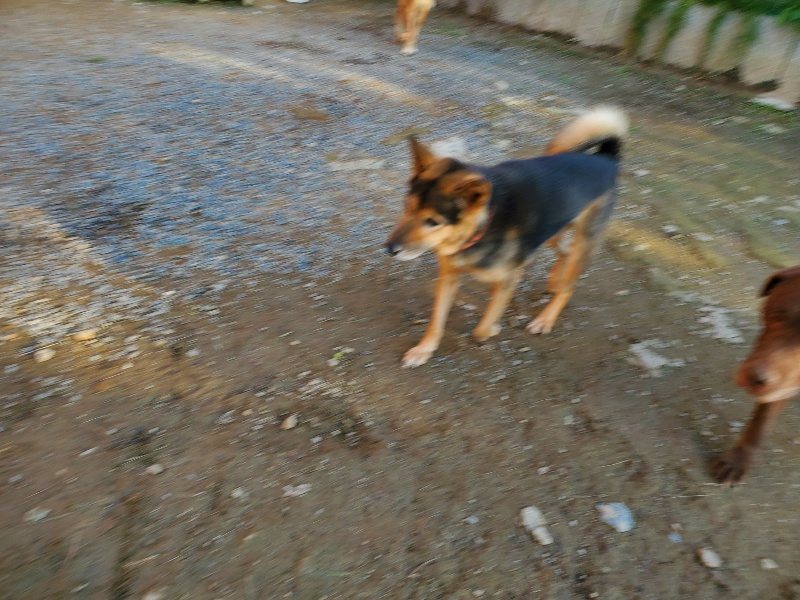 f:id:roukenhome-ann:20191017064632j:plain