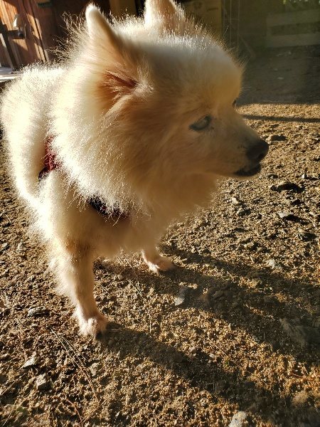 f:id:roukenhome-ann:20191017064701j:plain
