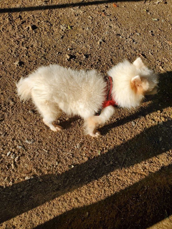 f:id:roukenhome-ann:20191017064727j:plain