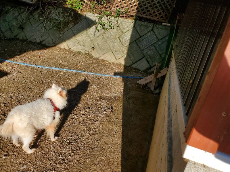 f:id:roukenhome-ann:20191017064742j:plain