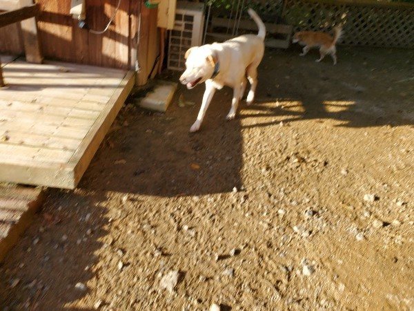 f:id:roukenhome-ann:20191017064804j:plain
