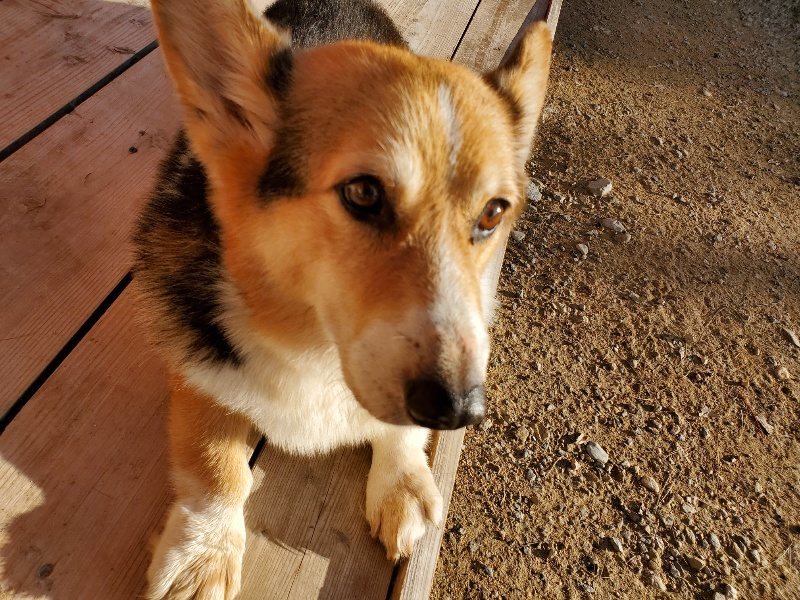 f:id:roukenhome-ann:20191017064937j:plain