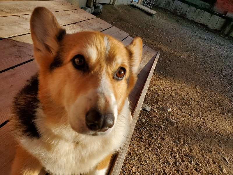 f:id:roukenhome-ann:20191017064945j:plain