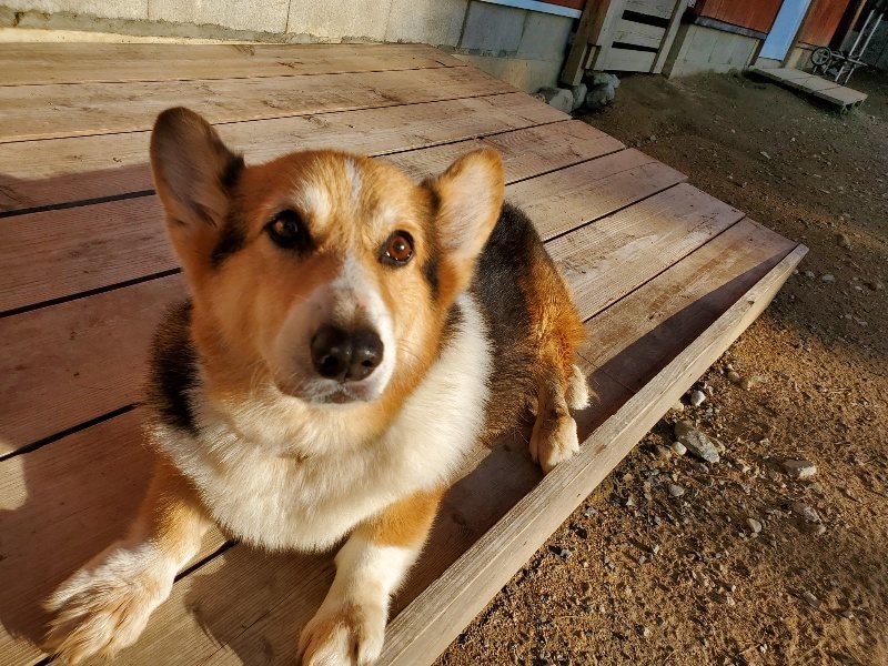 f:id:roukenhome-ann:20191017064956j:plain