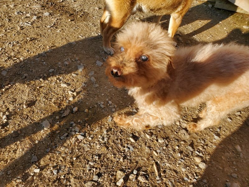 f:id:roukenhome-ann:20191017065031j:plain