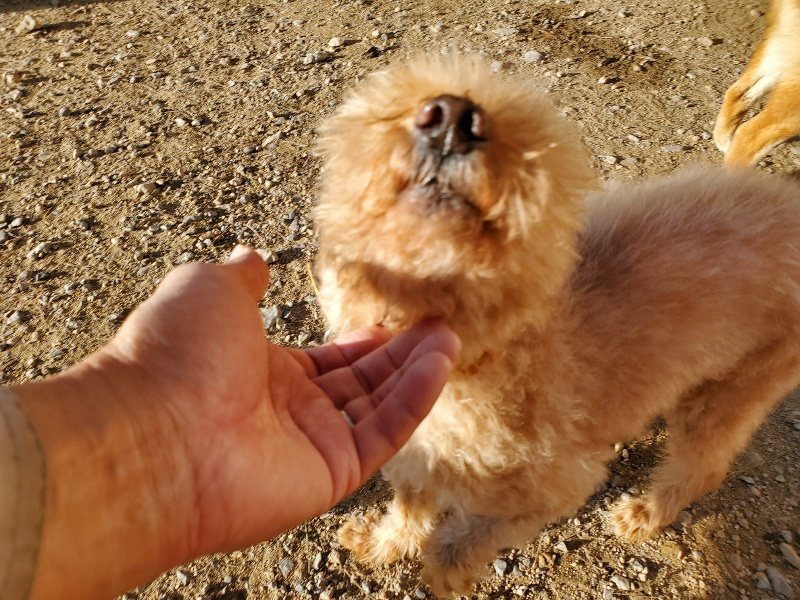 f:id:roukenhome-ann:20191017065039j:plain