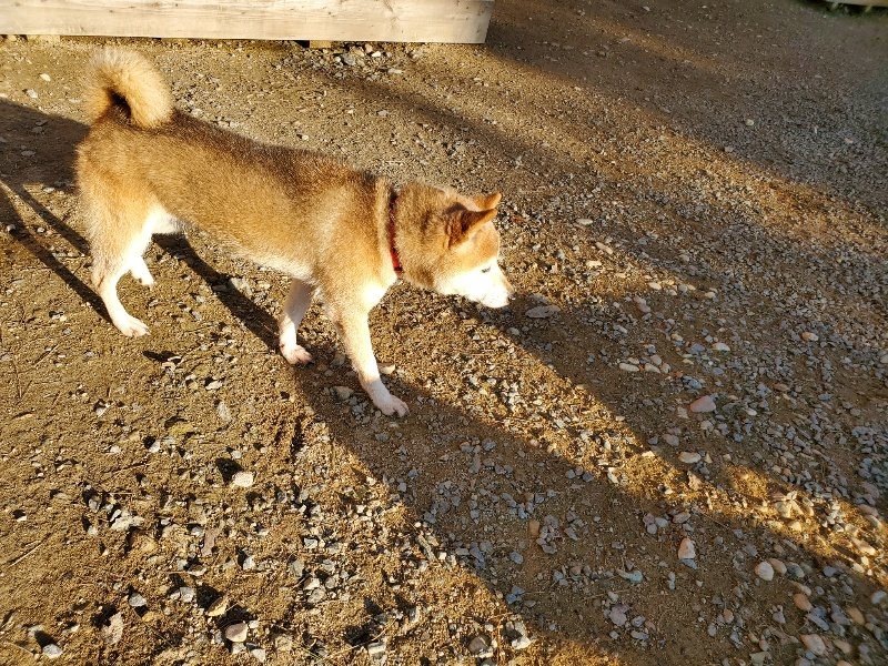 f:id:roukenhome-ann:20191017065120j:plain