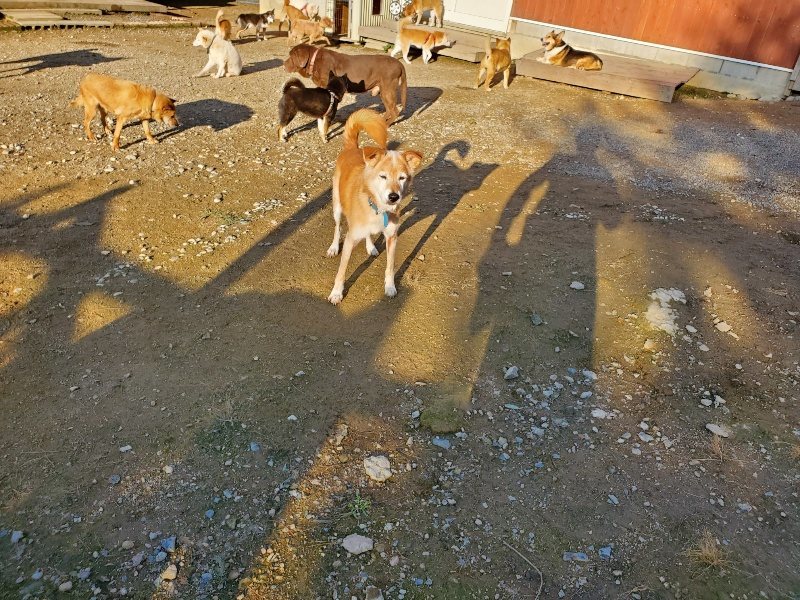 f:id:roukenhome-ann:20191017070225j:plain