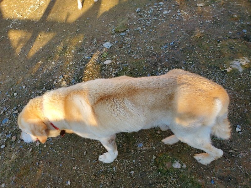 f:id:roukenhome-ann:20191017070242j:plain