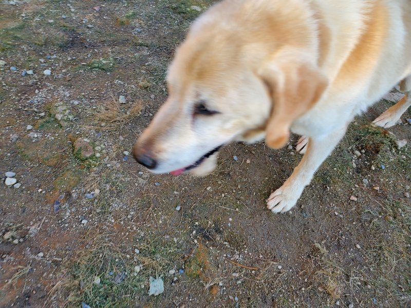 f:id:roukenhome-ann:20191017070259j:plain