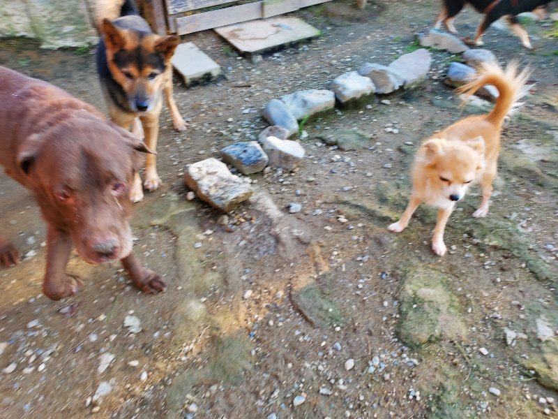 f:id:roukenhome-ann:20191017070429j:plain