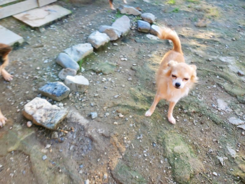 f:id:roukenhome-ann:20191017070456j:plain