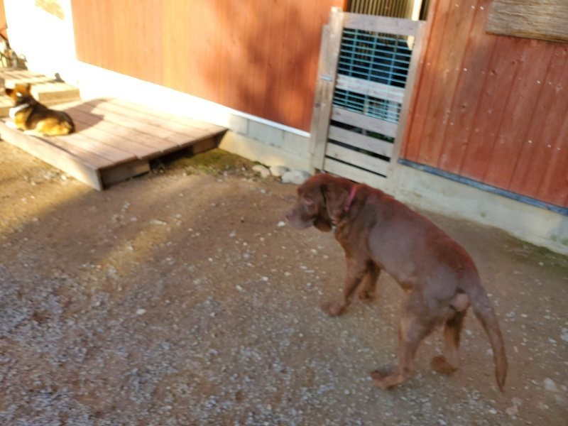 f:id:roukenhome-ann:20191017070540j:plain