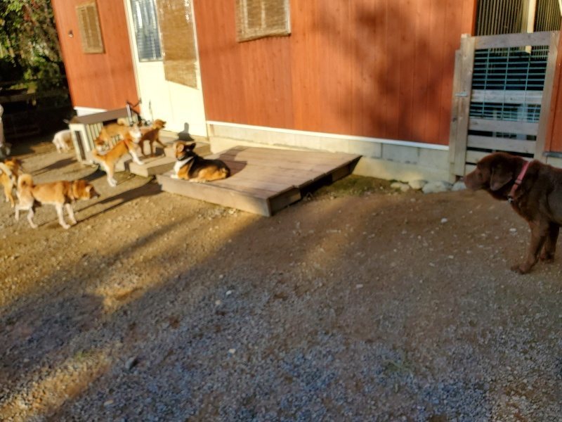 f:id:roukenhome-ann:20191017070547j:plain
