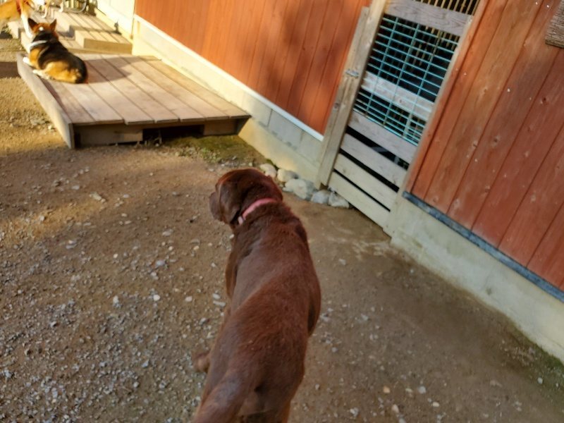 f:id:roukenhome-ann:20191017070557j:plain