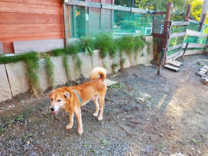 f:id:roukenhome-ann:20191017070606j:plain