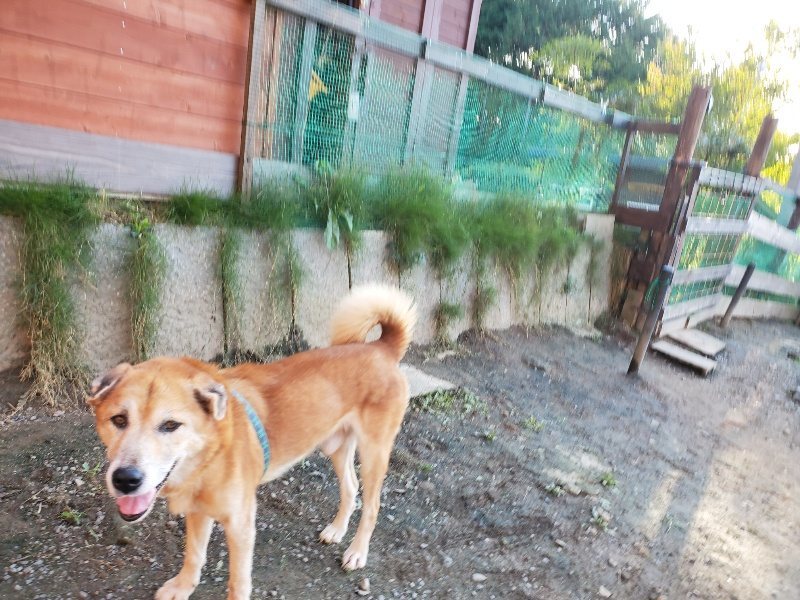 f:id:roukenhome-ann:20191017070639j:plain