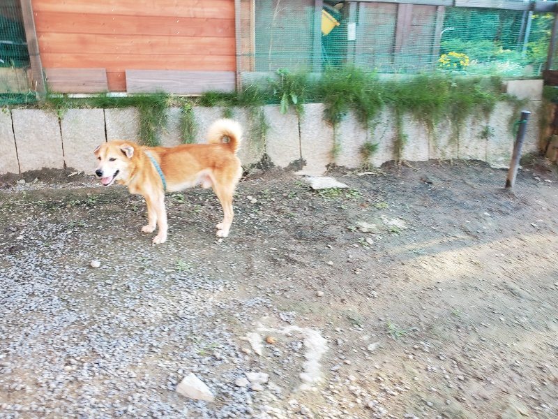 f:id:roukenhome-ann:20191017070646j:plain