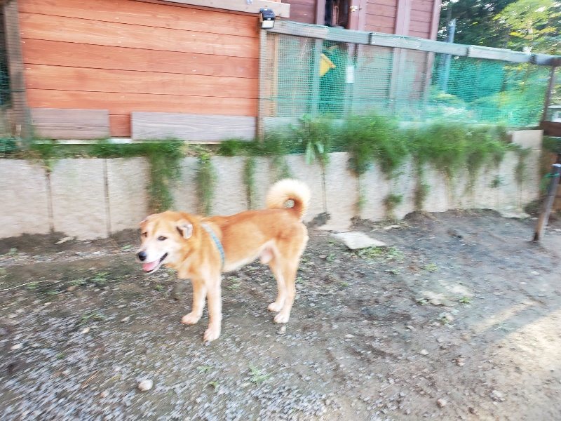 f:id:roukenhome-ann:20191017070654j:plain