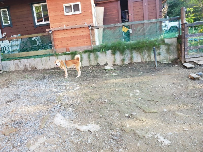 f:id:roukenhome-ann:20191017070708j:plain