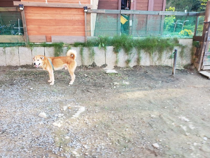 f:id:roukenhome-ann:20191017070742j:plain