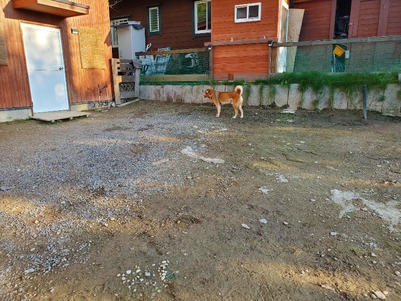 f:id:roukenhome-ann:20191017070759j:plain