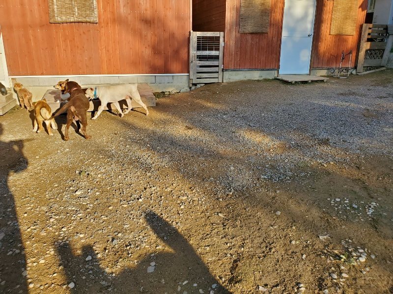 f:id:roukenhome-ann:20191017070806j:plain