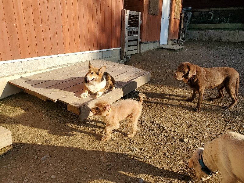 f:id:roukenhome-ann:20191017071226j:plain