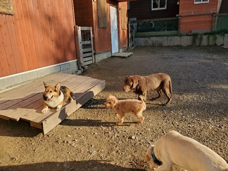 f:id:roukenhome-ann:20191017071240j:plain