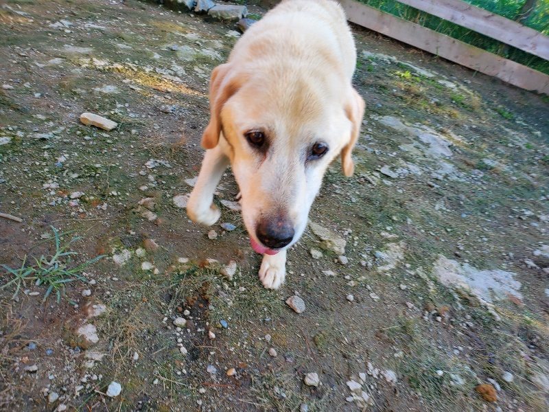 f:id:roukenhome-ann:20191017071258j:plain