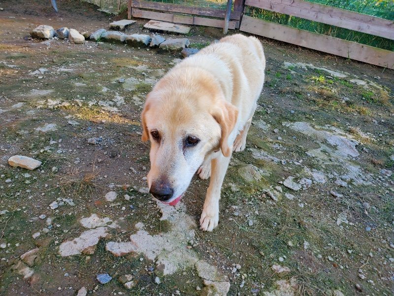 f:id:roukenhome-ann:20191017071317j:plain