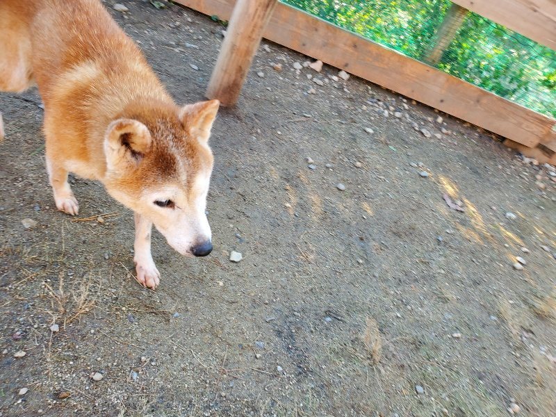 f:id:roukenhome-ann:20191017071337j:plain