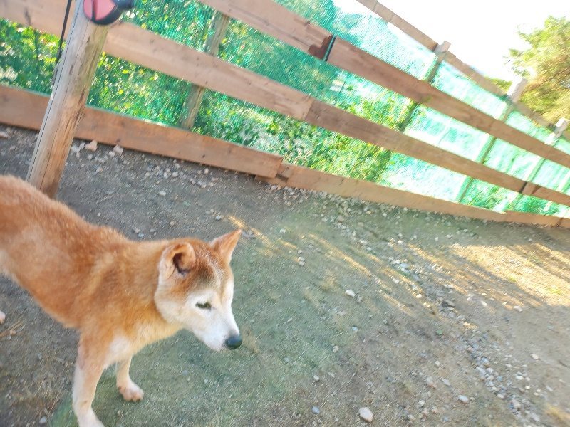 f:id:roukenhome-ann:20191017071403j:plain