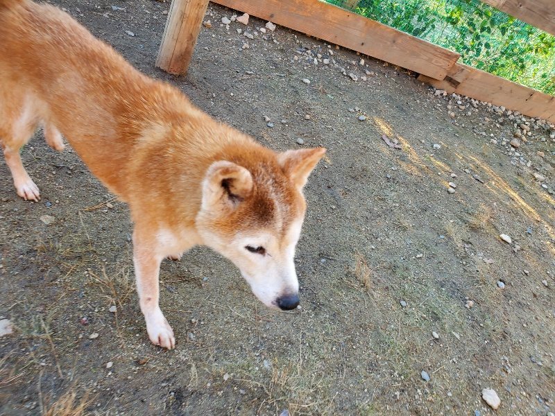 f:id:roukenhome-ann:20191017071410j:plain