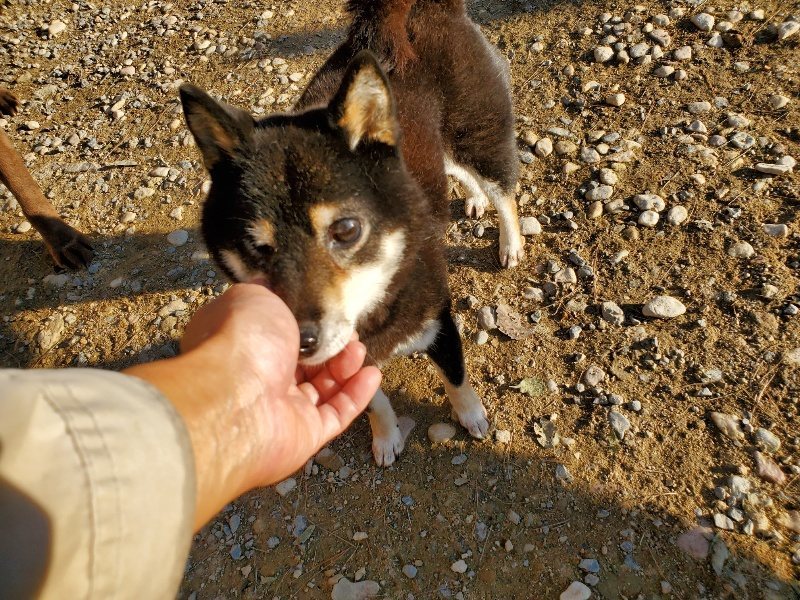 f:id:roukenhome-ann:20191017071506j:plain