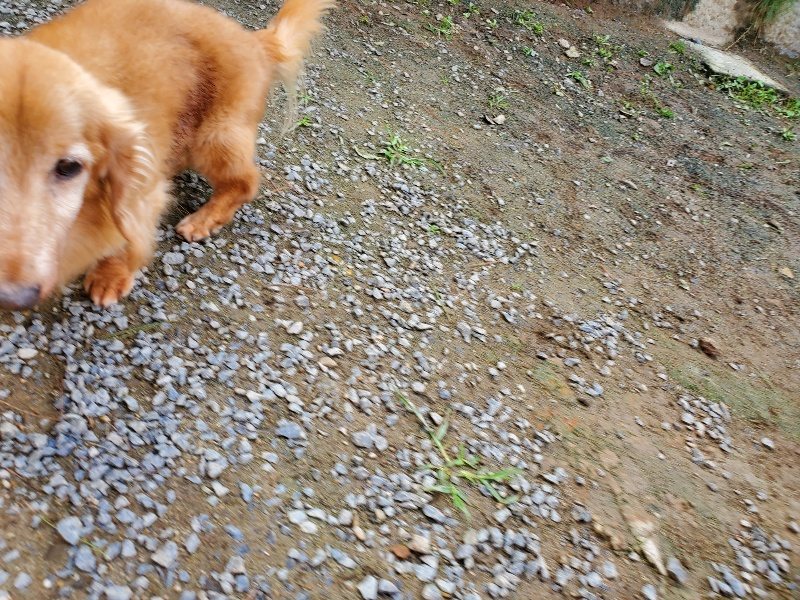 f:id:roukenhome-ann:20191017114121j:plain