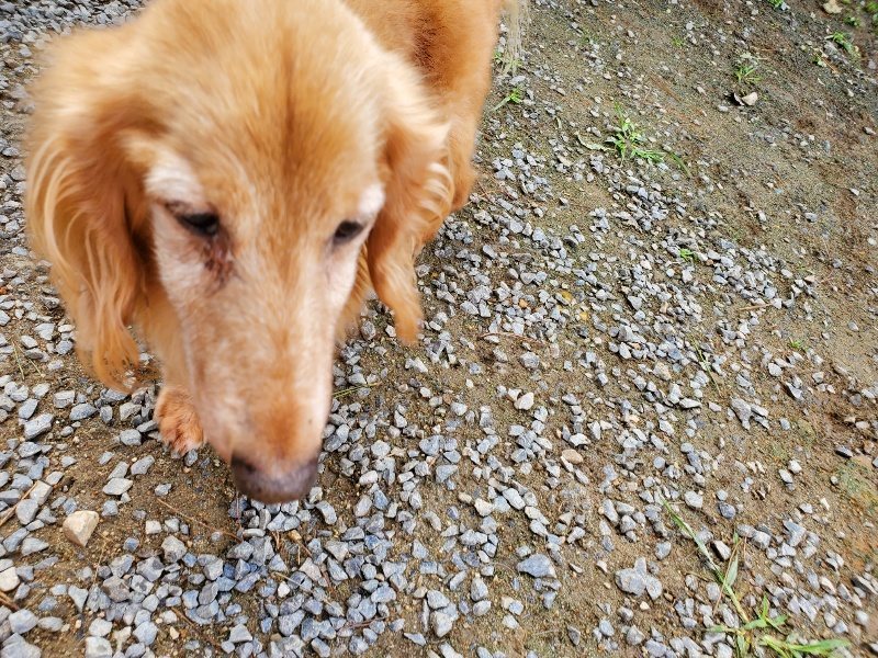 f:id:roukenhome-ann:20191017114133j:plain
