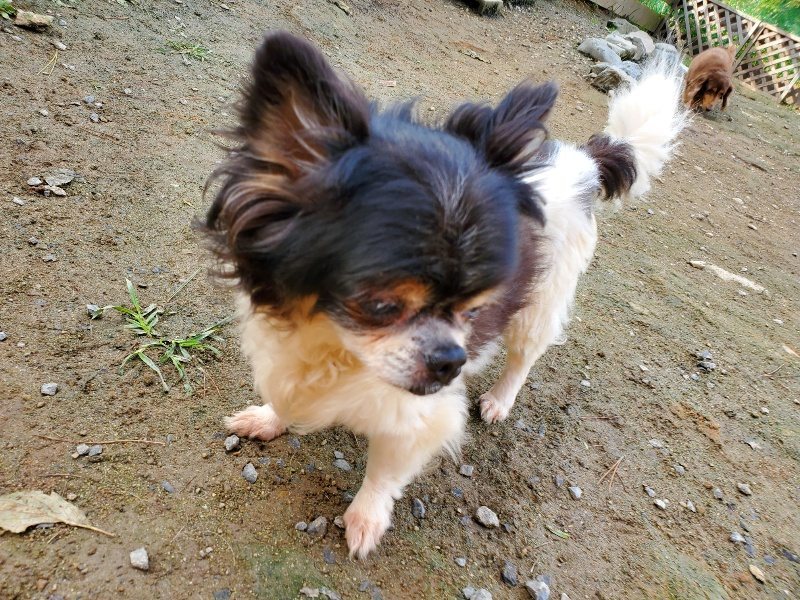 f:id:roukenhome-ann:20191017114143j:plain
