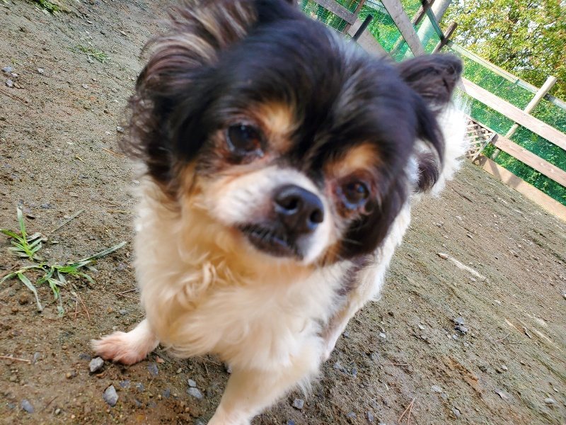 f:id:roukenhome-ann:20191017114154j:plain