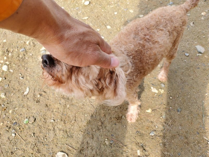 f:id:roukenhome-ann:20191017114234j:plain