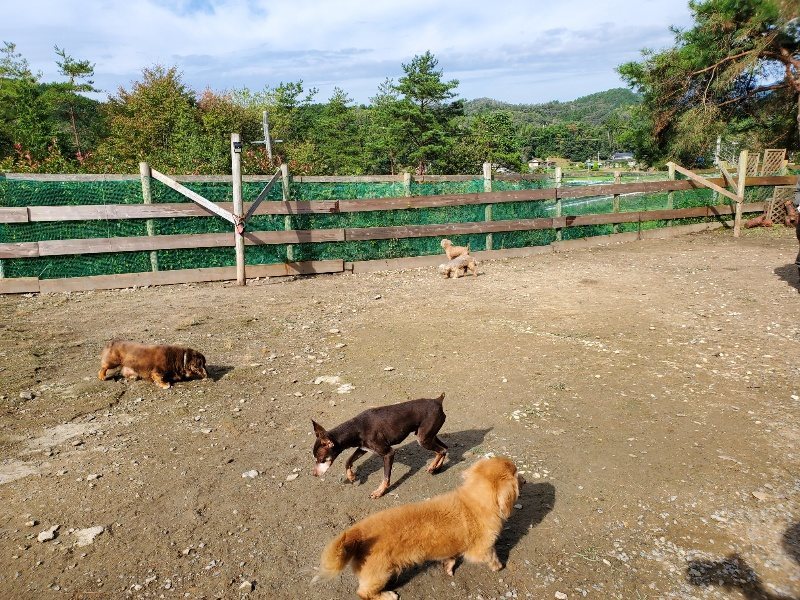 f:id:roukenhome-ann:20191017114337j:plain