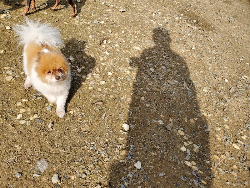 f:id:roukenhome-ann:20191017114446j:plain