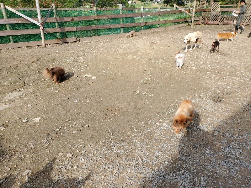 f:id:roukenhome-ann:20191017114452j:plain