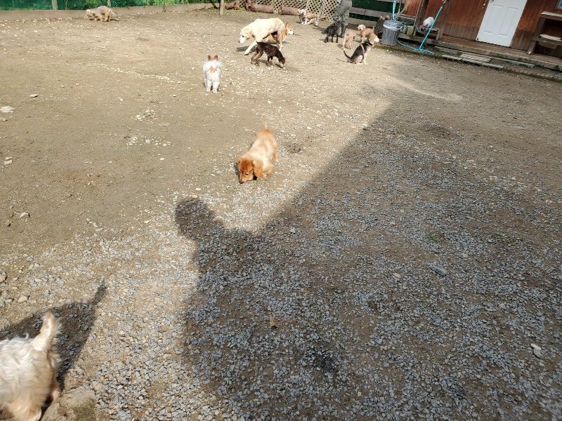f:id:roukenhome-ann:20191017114503j:plain