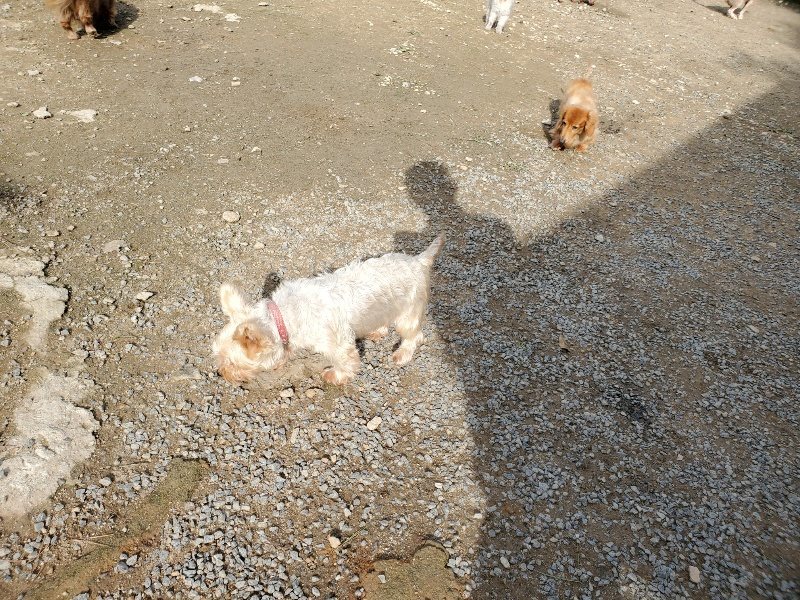 f:id:roukenhome-ann:20191017114523j:plain