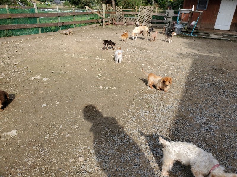 f:id:roukenhome-ann:20191017114532j:plain