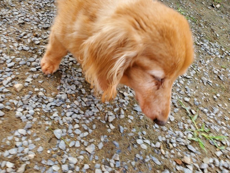 f:id:roukenhome-ann:20191017114612j:plain